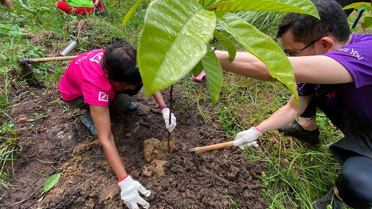 Two individuals working together to plant